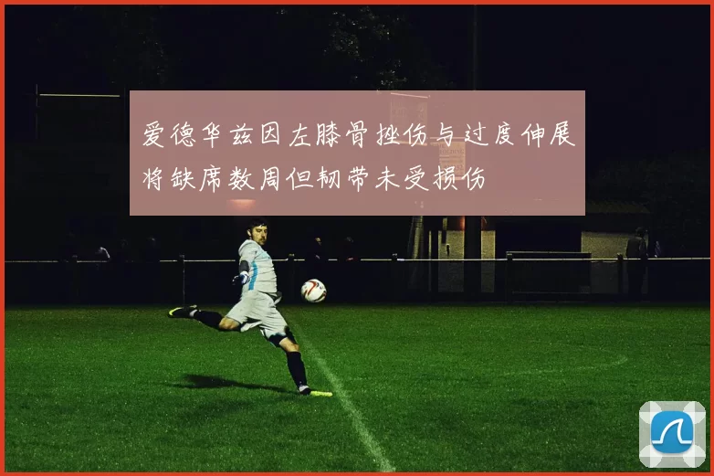 爱德华兹因左膝骨挫伤与过度伸展将缺席数周但韧带未受损伤